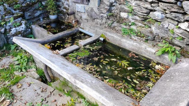 La Magia della Fonte del Mattino